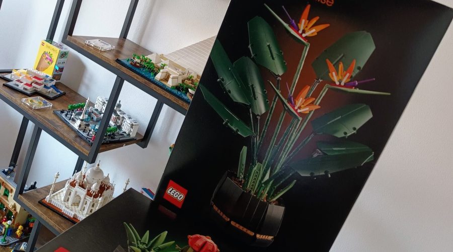 LEGO 10311 Icons Orchidee Set für Erwachsene zum Basteln von Zimmerdeko mit künstlichen Pflanzen